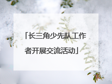 长三角少先队工作者开展交流活动