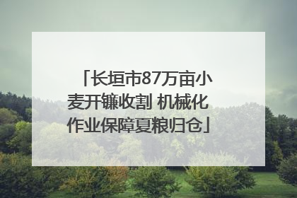 长垣市87万亩小麦开镰收割 机械化作业保障夏粮归仓