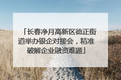 长春净月高新区德正街道举办银企对接会，精准破解企业融资难题