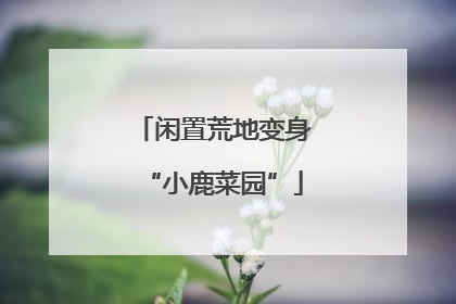 闲置荒地变身“小鹿菜园”