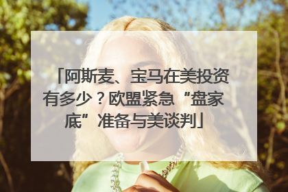 阿斯麦、宝马在美投资有多少？欧盟紧急“盘家底”准备与美谈判