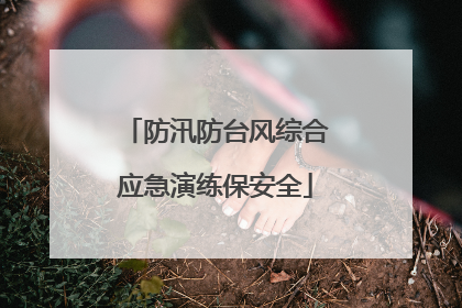 防汛防台风综合应急演练保安全