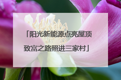 阳光新能源点亮屋顶 致富之路照进三家村