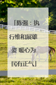 陈强：执行维和展雄姿 暖心为民有正气