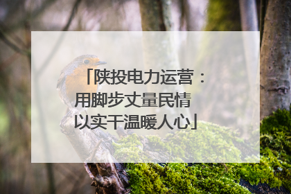 陕投电力运营：用脚步丈量民情 以实干温暖人心