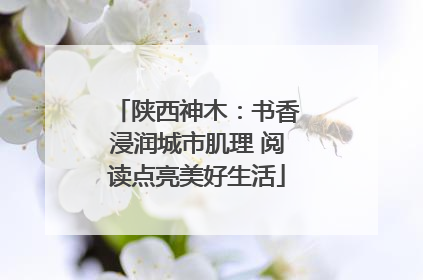 陕西神木：书香浸润城市肌理 阅读点亮美好生活