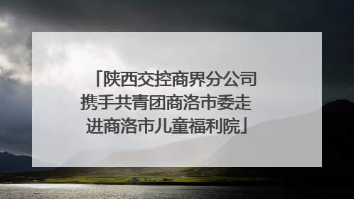 陕西交控商界分公司携手共青团商洛市委走进商洛市儿童福利院
