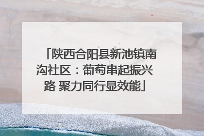 陕西合阳县新池镇南沟社区：葡萄串起振兴路 聚力同行显效能