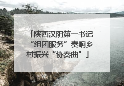 陕西汉阴第一书记“组团服务”奏响乡村振兴“协奏曲”