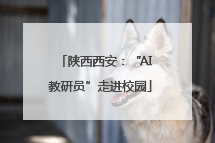 陕西西安：“AI教研员”走进校园
