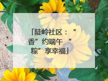 陡岭社区：“香”约端午 “粽”享幸福