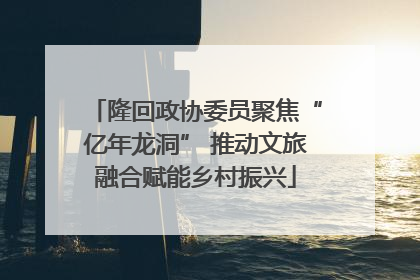 隆回政协委员聚焦“亿年龙洞” 推动文旅融合赋能乡村振兴