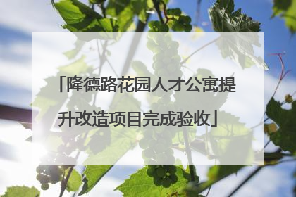 隆德路花园人才公寓提升改造项目完成验收