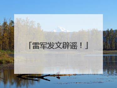 雷军发文辟谣！