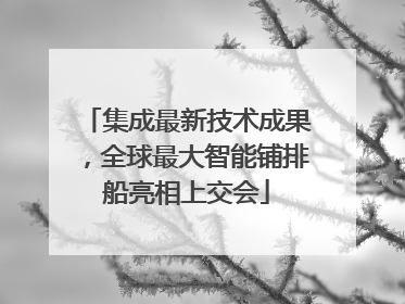 集成最新技术成果，全球最大智能铺排船亮相上交会