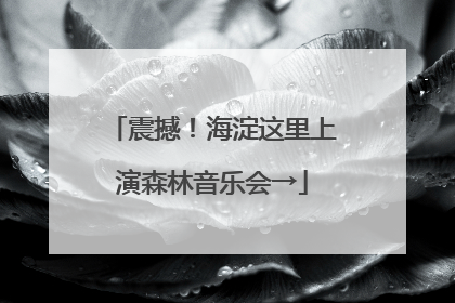 震撼！海淀这里上演森林音乐会→