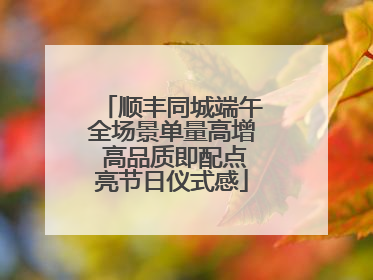 顺丰同城端午全场景单量高增 高品质即配点亮节日仪式感