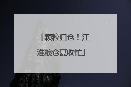 颗粒归仓！江淮粮仓夏收忙