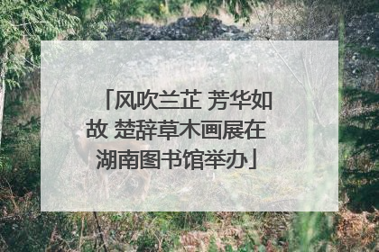风吹兰芷 芳华如故 楚辞草木画展在湖南图书馆举办