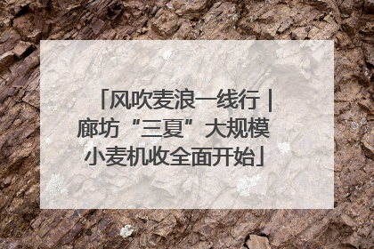 风吹麦浪一线行｜廊坊“三夏”大规模小麦机收全面开始