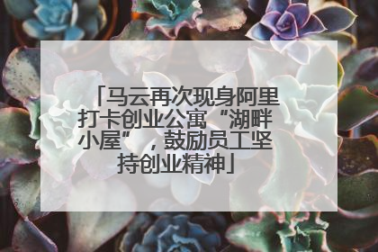 马云再次现身阿里打卡创业公寓“湖畔小屋”，鼓励员工坚持创业精神
