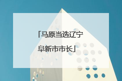 马原当选辽宁阜新市市长