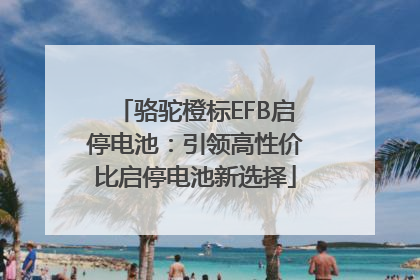 骆驼橙标EFB启停电池：引领高性价比启停电池新选择