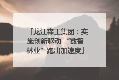 龙江森工集团：实施创新驱动 “数智林业”跑出加速度
