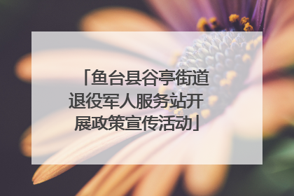 鱼台县谷亭街道退役军人服务站开展政策宣传活动
