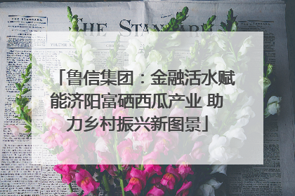 鲁信集团：金融活水赋能济阳富硒西瓜产业 助力乡村振兴新图景