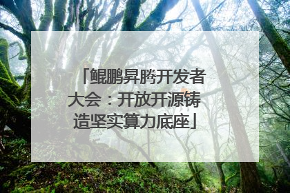 鲲鹏昇腾开发者大会：开放开源铸造坚实算力底座