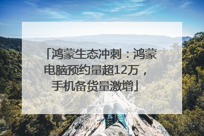鸿蒙生态冲刺：鸿蒙电脑预约量超12万，手机备货量激增