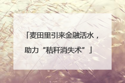 麦田里引来金融活水，助力“秸秆消失术”