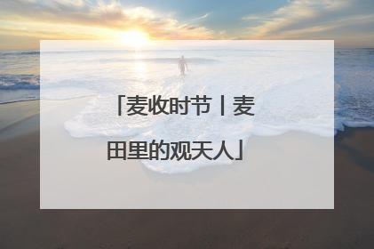 麦收时节丨麦田里的观天人