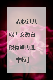 麦收过八成！安徽夏粮有望再迎丰收
