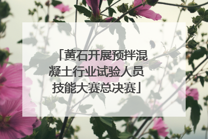 黄石开展预拌混凝土行业试验人员技能大赛总决赛