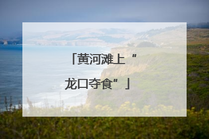 黄河滩上“龙口夺食”