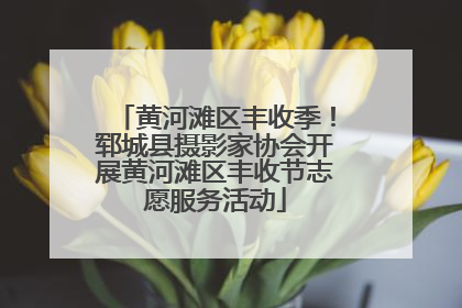 黄河滩区丰收季！郓城县摄影家协会开展黄河滩区丰收节志愿服务活动