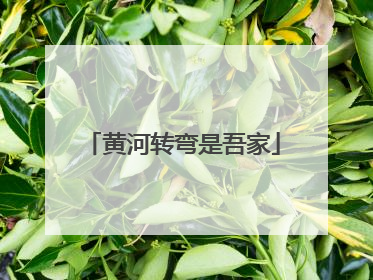 黄河转弯是吾家