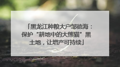 黑龙江种粮大户邹德海：保护“耕地中的大熊猫”黑土地，让增产可持续