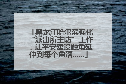 黑龙江哈尔滨强化“派出所主防”工作，让平安建设触角延伸到每个角落……