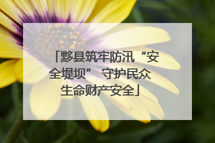 黟县筑牢防汛“安全堤坝” 守护民众生命财产安全