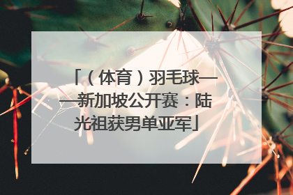 （体育）羽毛球——新加坡公开赛：陆光祖获男单亚军