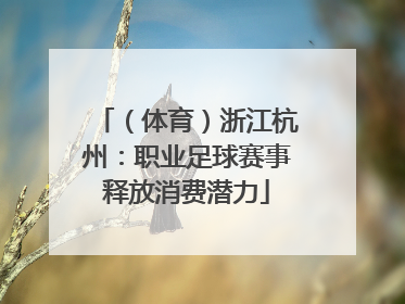 （体育）浙江杭州：职业足球赛事释放消费潜力