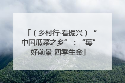 （乡村行·看振兴）“中国瓜菜之乡”：“莓”好前景 四季生金