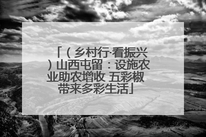（乡村行·看振兴）山西屯留：设施农业助农增收 五彩椒带来多彩生活