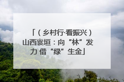 （乡村行·看振兴）山西襄垣：向“林”发力 借“绿”生金