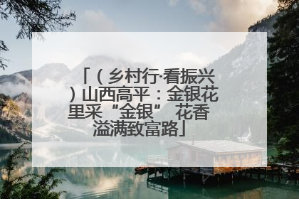 （乡村行·看振兴）山西高平：金银花里采“金银” 花香溢满致富路