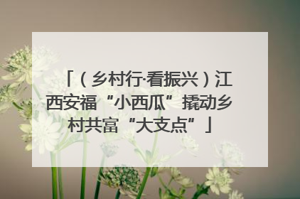 （乡村行·看振兴）江西安福“小西瓜”撬动乡村共富“大支点”