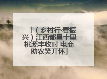 （乡村行·看振兴）江西都昌十里桃源丰收时 电商助农笑开怀